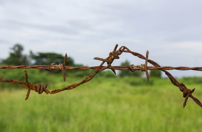 Reisen + Pilgern | Landschaften, Tiere + Pflanzen